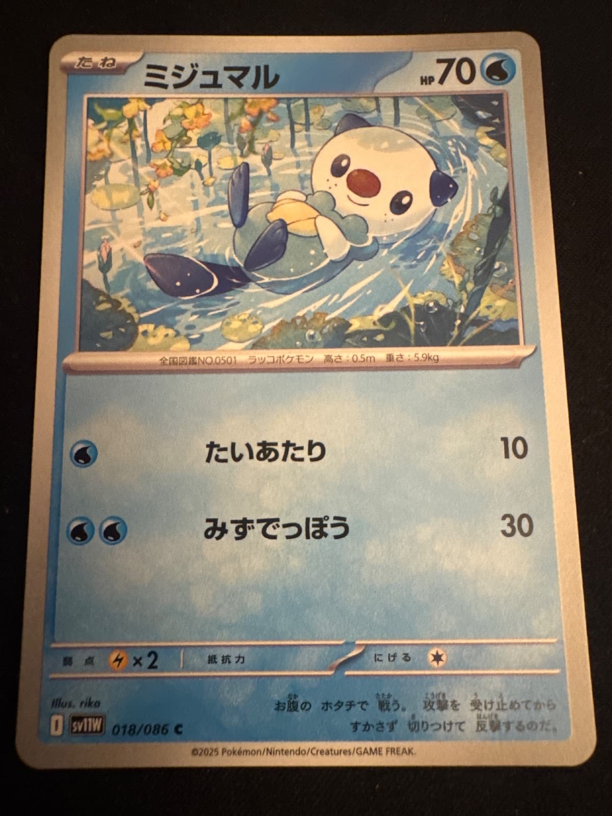 Oshawott from sv11W