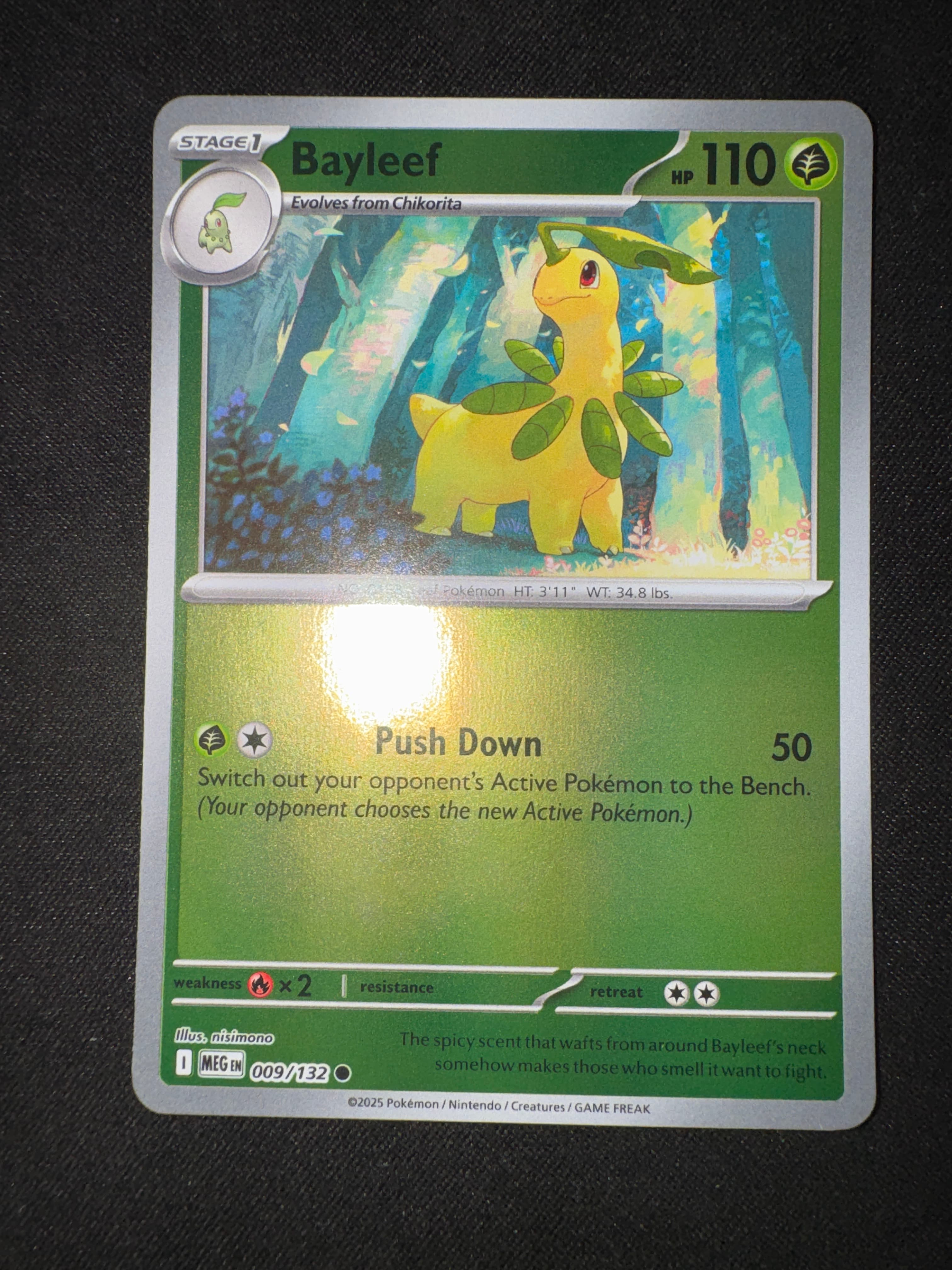 Bayleef from Mega Evolution