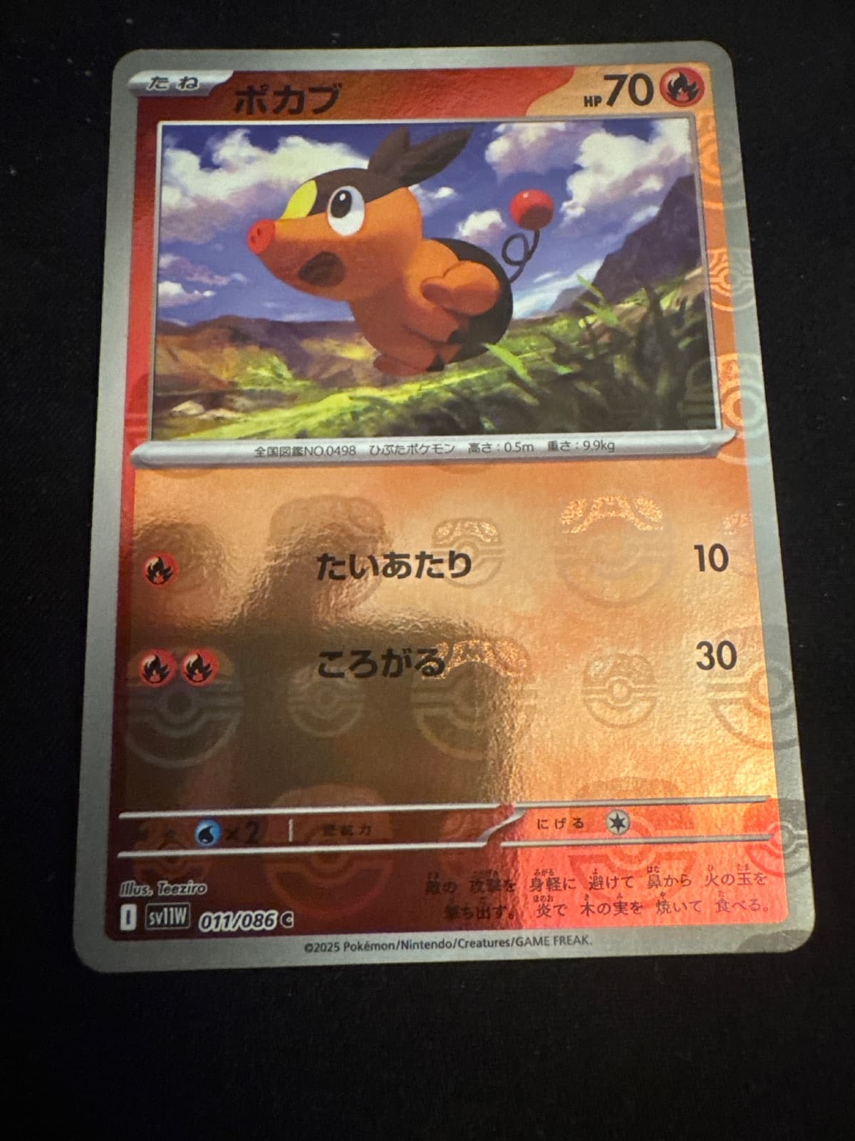 Tepig from sv11W