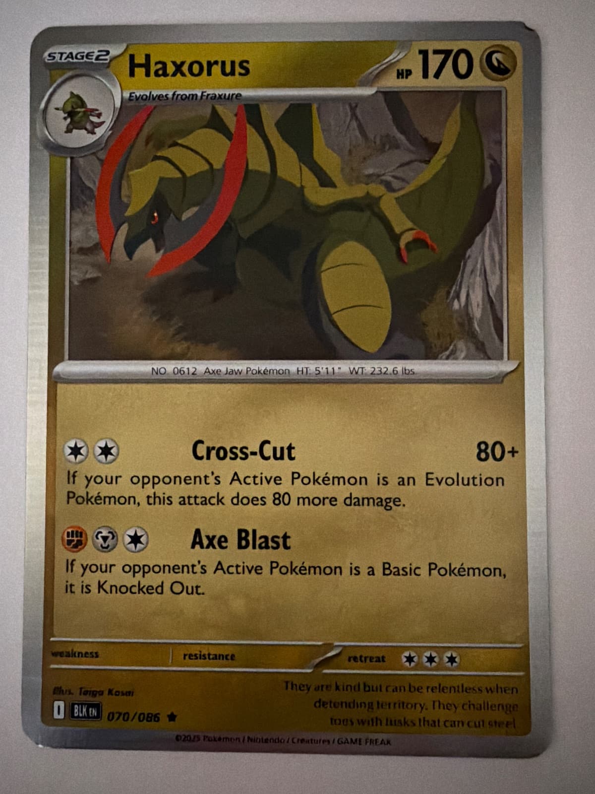 Haxorus from BLK