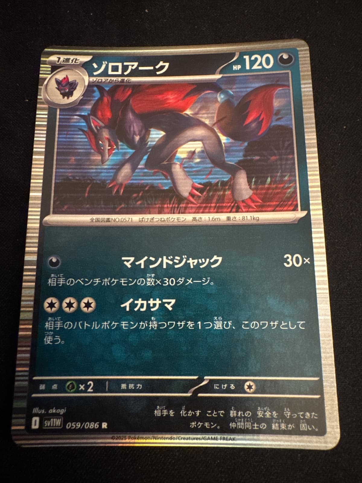 Zoroark from sv11W