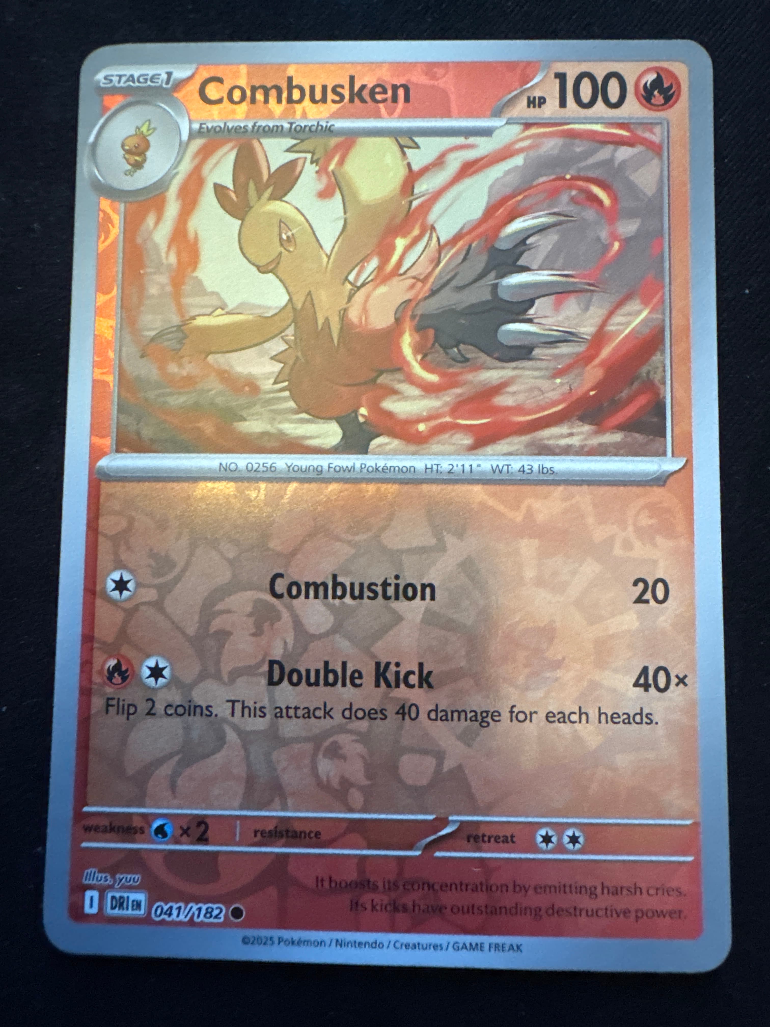 Combusken from Destined Rivals