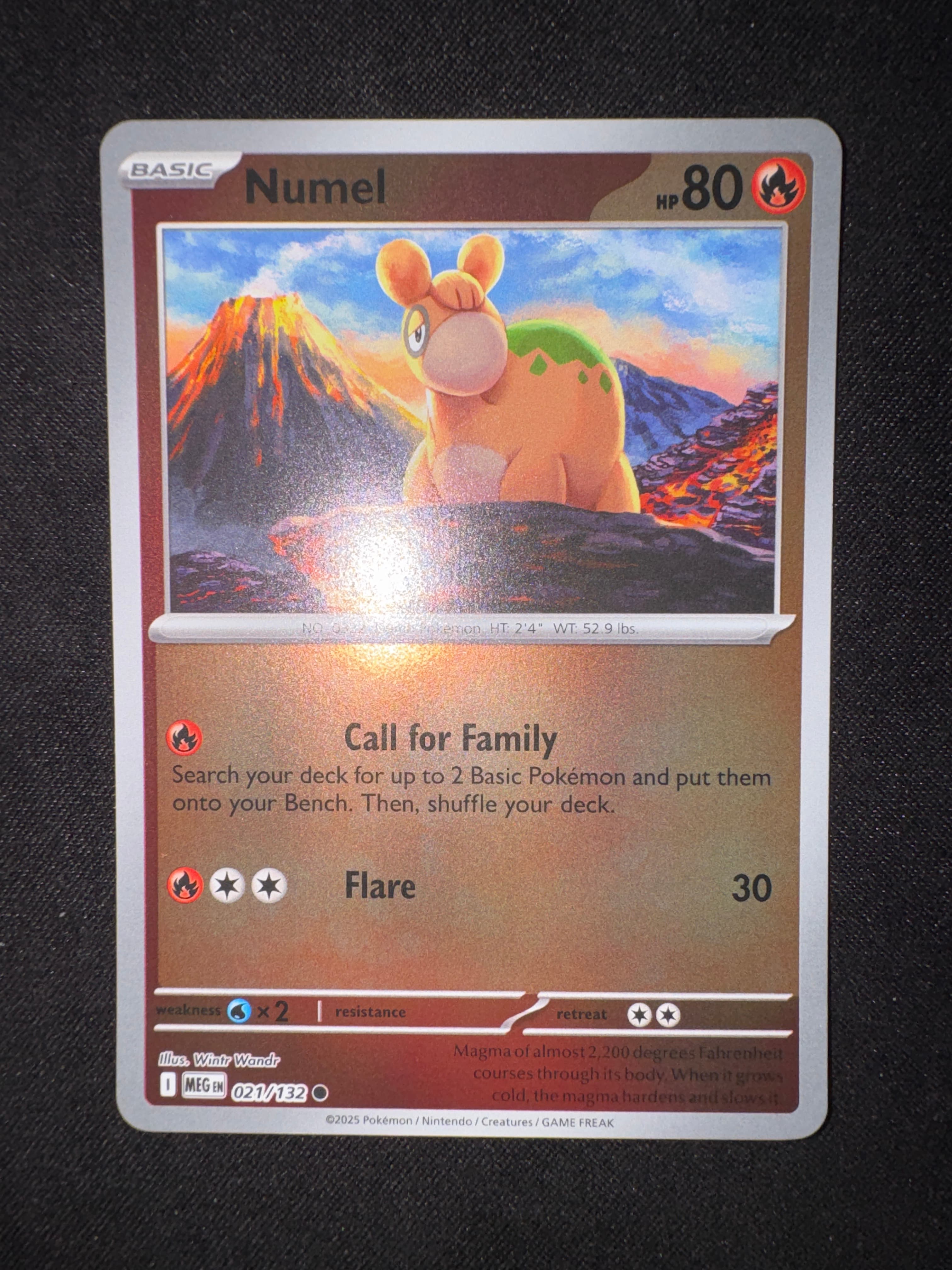 Numel from Mega Evolution