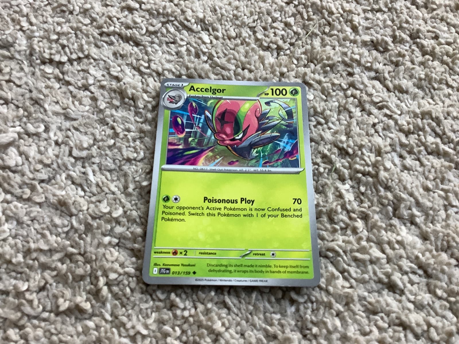 Accelgor from Journey Together