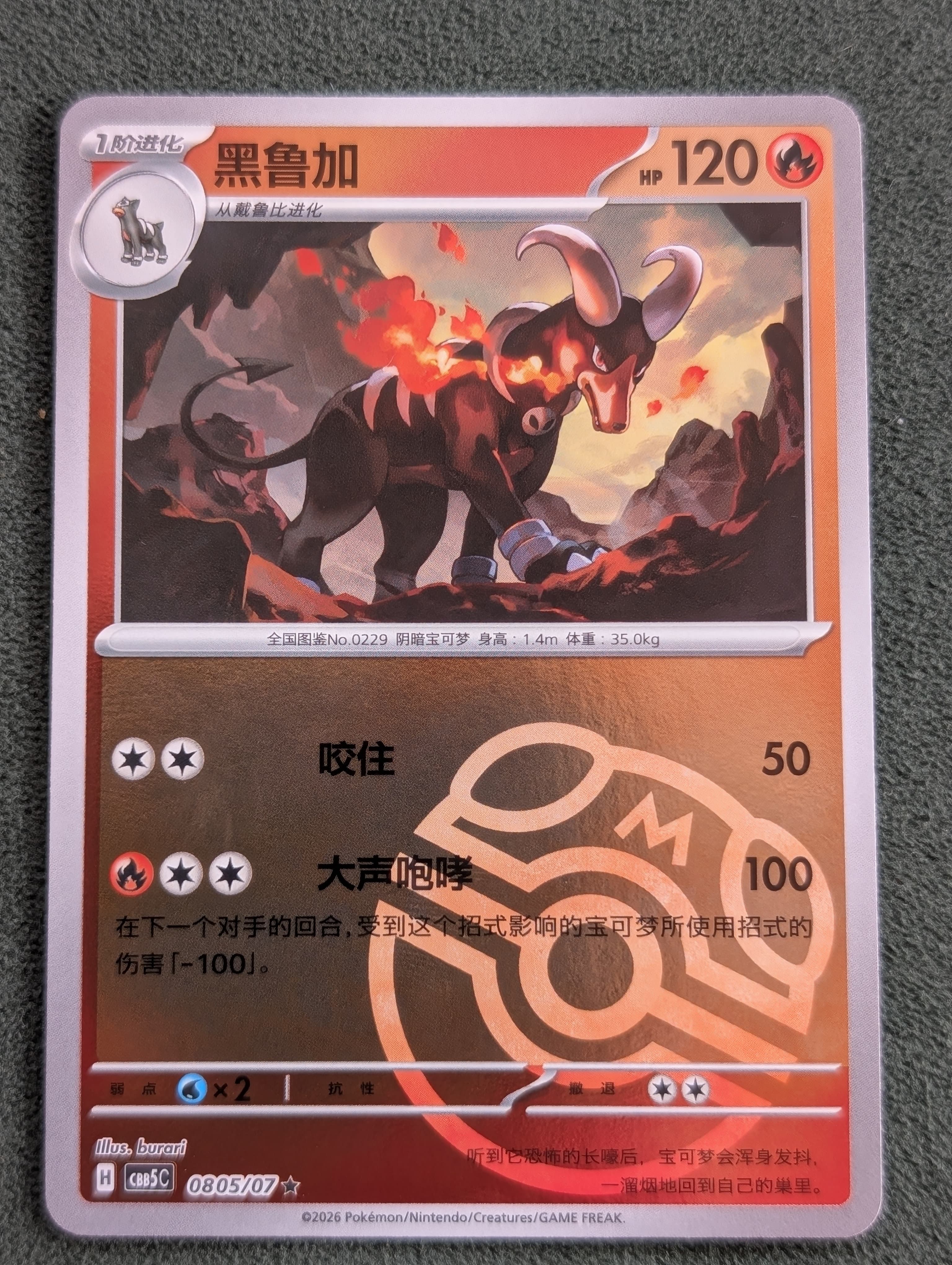 Houndoom from CB5C